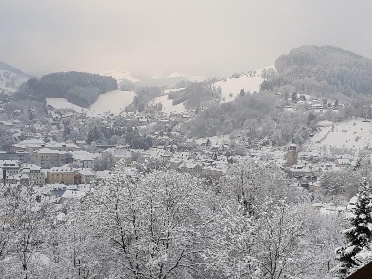 Appartement Kohlnberger Waidhofen an der Ybbs Exterior foto